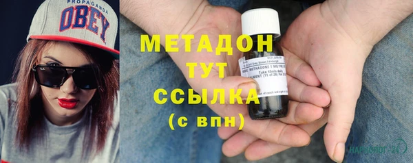 индика Дмитров