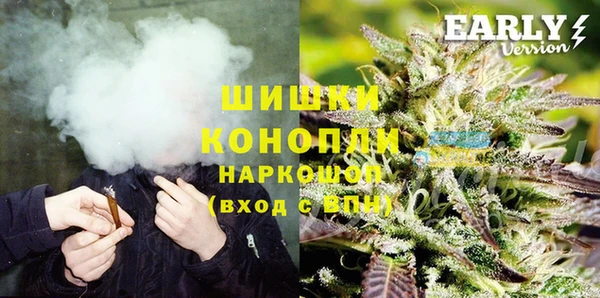 индика Дмитров