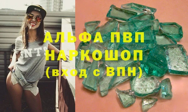 индика Дмитров