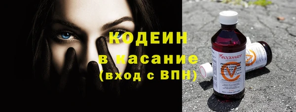 сатива Сосновоборск