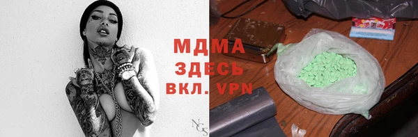 индика Дмитров