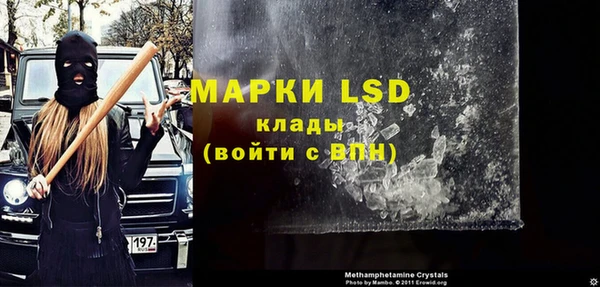 сатива Сосновоборск