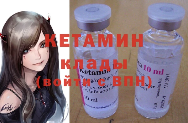 индика Дмитров