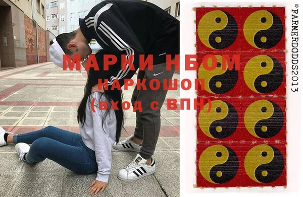 индика Дмитров