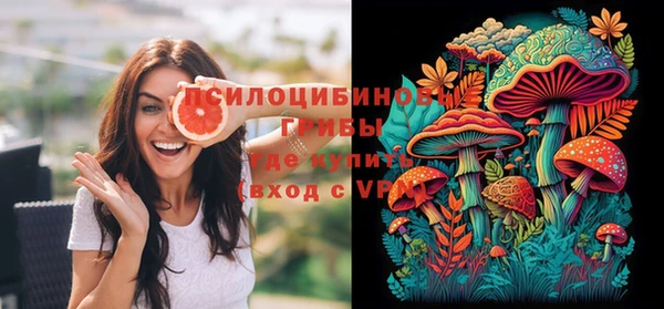 mdma Дмитриев