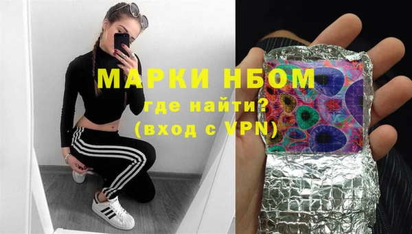 индика Дмитров
