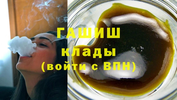 индика Дмитров