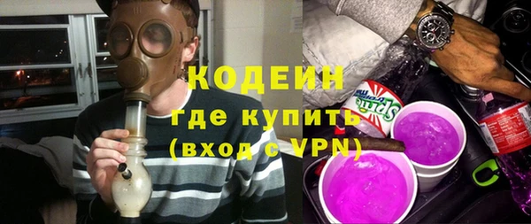 индика Дмитров