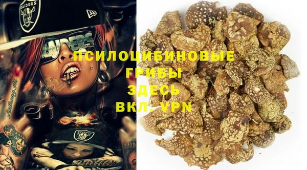 mdma Дмитриев