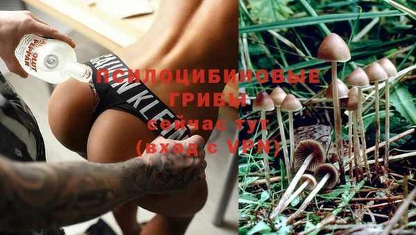 мдма Дмитровск