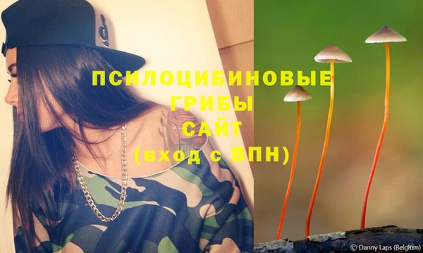 индика Дмитров